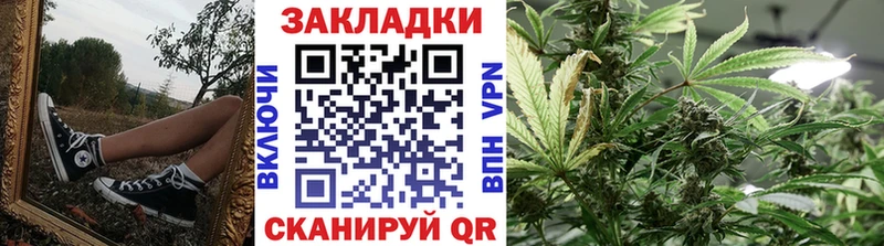 Бошки Шишки Заволжье