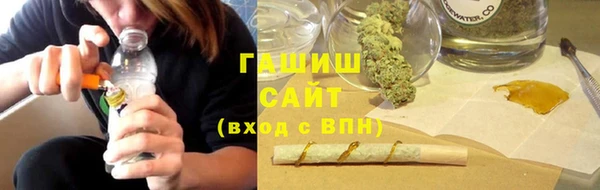 индика Алзамай