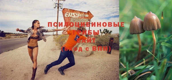 твердый Алексин