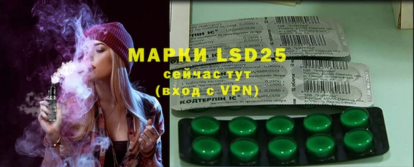 индика Алзамай