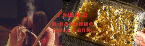 индика Алзамай