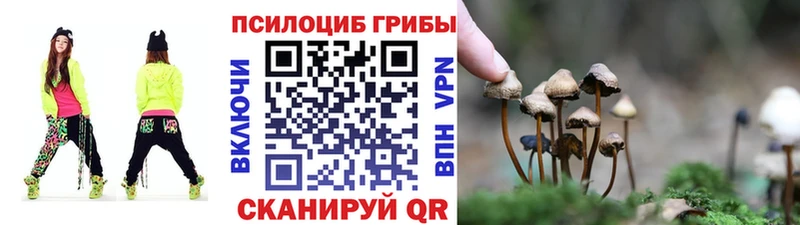 где можно купить   Заволжье  Галлюциногенные грибы мухоморы 