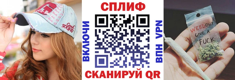 закладка  Заволжье  Каннабис сатива 